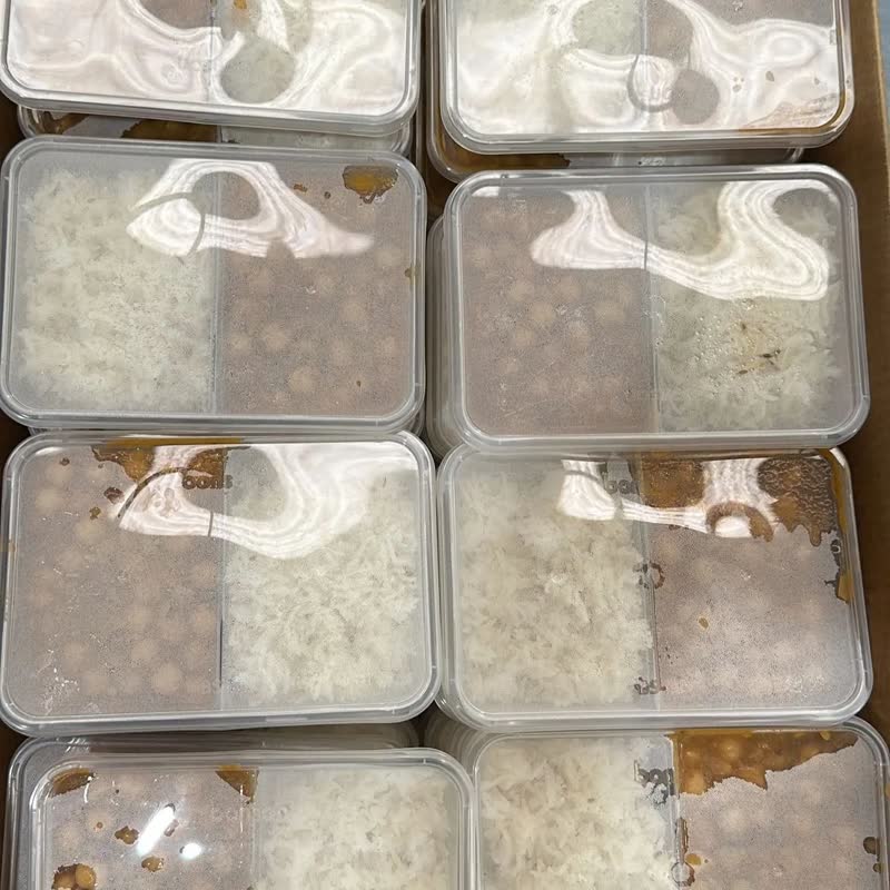 Rows of clear takeaway boxes filled with rice and curry, ready to go home with guests.