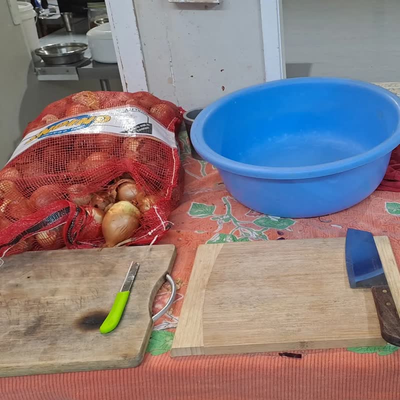 A red mesh sack of onions, a blue plastic basin, a chopping board and a knife set out on a table, ready for prep.